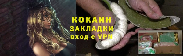 индика Дмитровск