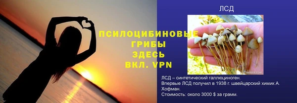 гидра Арсеньев