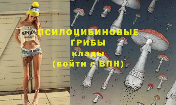 гидра Арсеньев