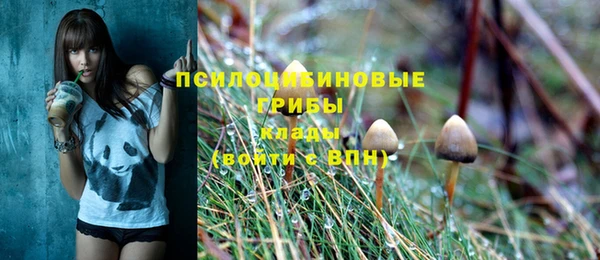 гидра Арсеньев