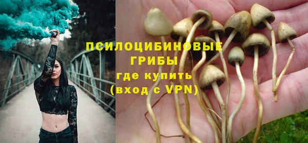гидра Арсеньев