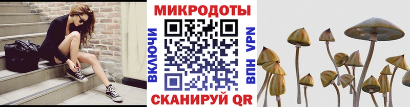 Галлюциногенные грибы Psilocybine cubensis  Сибай 